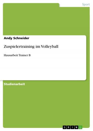 Cover of the book Zuspielertraining im Volleyball by Franziska Zschornak