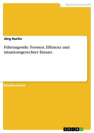 Cover of the book Führungsstile: Formen, Effizienz und situationsgerechter Einsatz by Uwe Scheunemann