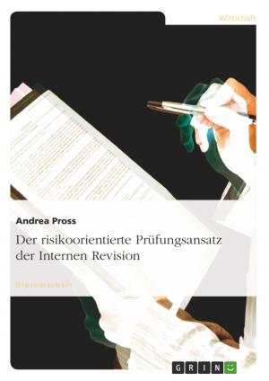 Cover of the book Der risikoorientierte Prüfungsansatz der Internen Revision by Stefan Berktold