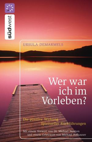Cover of the book Wer war ich im Vorleben? by Thea Terlouw