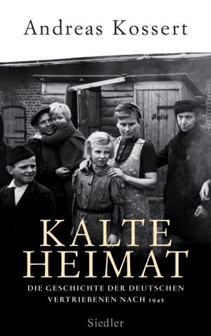 Cover of the book Kalte Heimat by Helmut Schmidt