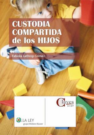 Cover of Custodia compartida de los hijos