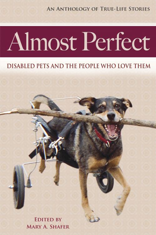Cover of the book Almost Perfect by Mary A. Shafer, Susan Bertrand, Joyce Grant-Smith, Linda Bruno, Carol Downie, Sharon Sakson, Vicki Tiernan, Cheryl Caruolo, Stacy Ewing, Crystal S. Parsons, Roberta Beach Jacobson, Word Forge Books