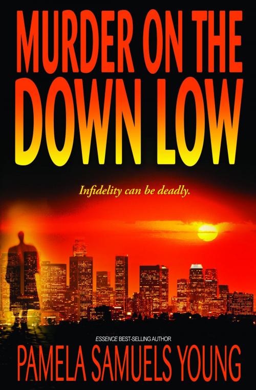 Cover of the book Murder on the Down Low by Pamela Samuels Young, Goldman House Publishing