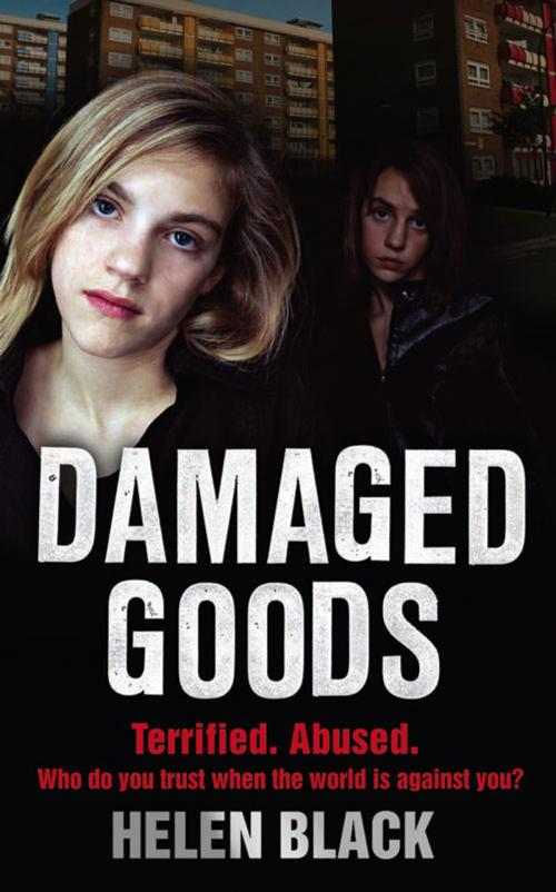Cover of the book Damaged Goods by Helen Black, HarperCollins Publishers
