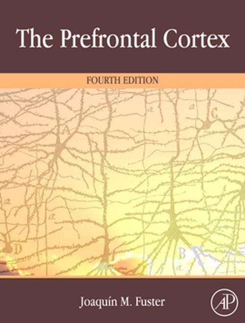 Cover of the book The Prefrontal Cortex by Joaquin Fuster, Elsevier Science