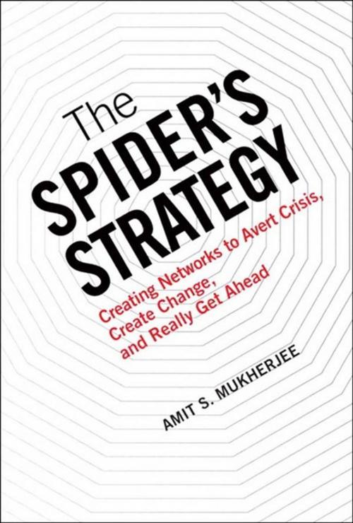 Cover of the book The Spider's Strategy by Amit S. Mukherjee, Pearson Education