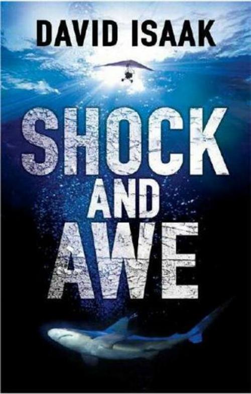 Cover of the book Shock and Awe by David Isaak, Pan Macmillan