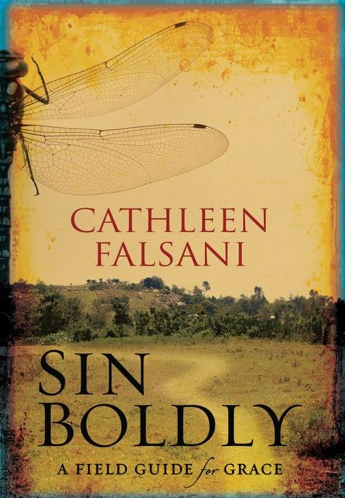 Cover of the book Sin Boldly by Cathleen Falsani, Zondervan