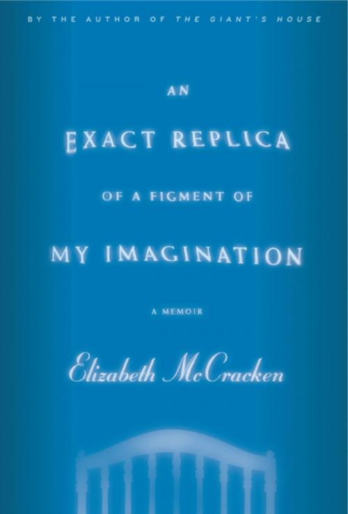Cover of the book An Exact Replica of a Figment of My Imagination by Elizabeth McCracken, Little, Brown and Company