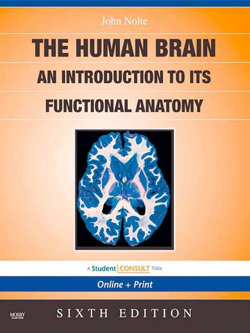Cover of the book The Human Brain E-Book by John Nolte, PhD<br>PhD, Elsevier Health Sciences