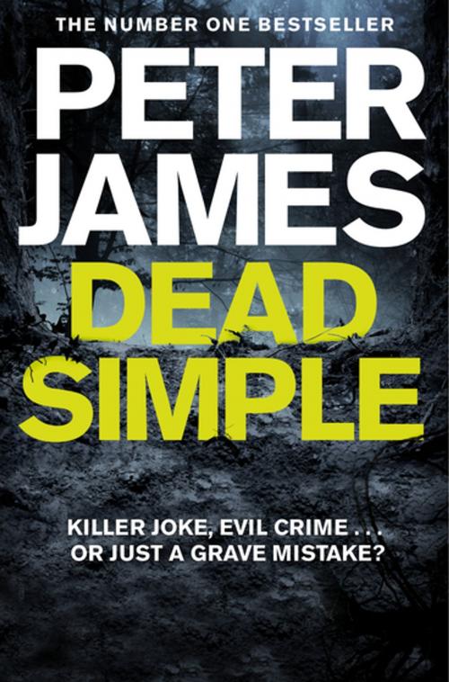 Cover of the book Dead Simple by Peter James, Pan Macmillan