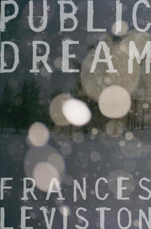 Cover of the book Public Dream by Frances Leviston, Pan Macmillan