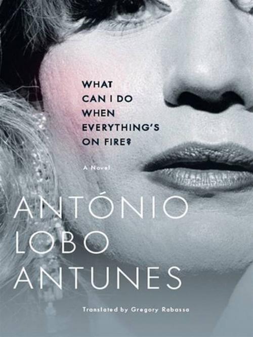 Cover of the book What Can I Do When Everything's On Fire?: A Novel by António Lobo Antunes, W. W. Norton & Company