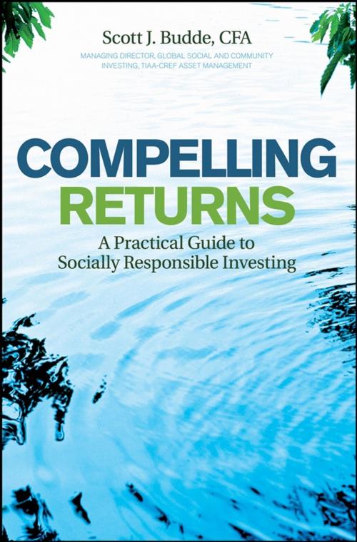Cover of the book Compelling Returns by Scott J. Budde, Wiley