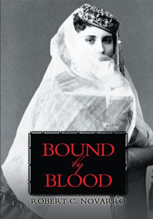 Cover of the book Bound by Blood by Robert C. Novarro, iUniverse