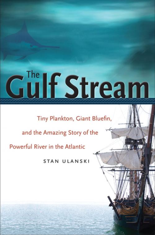 Cover of the book The Gulf Stream by Stan Ulanski, The University of North Carolina Press