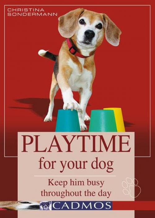 Cover of the book Playtime for Your Dog: Keep Him Busy Throughout the Day by Christina Sondermann, Cadmos Books