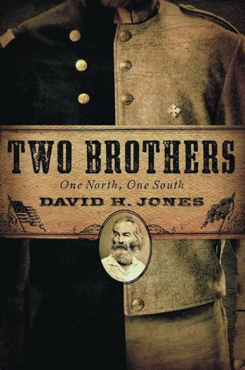 Cover of the book Two Brothers: One North, One South by David H. Jones, Staghorn Press