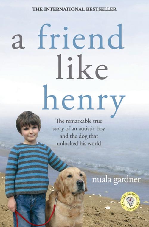 Cover of the book A Friend Like Henry by Nuala Gardner, Sourcebooks