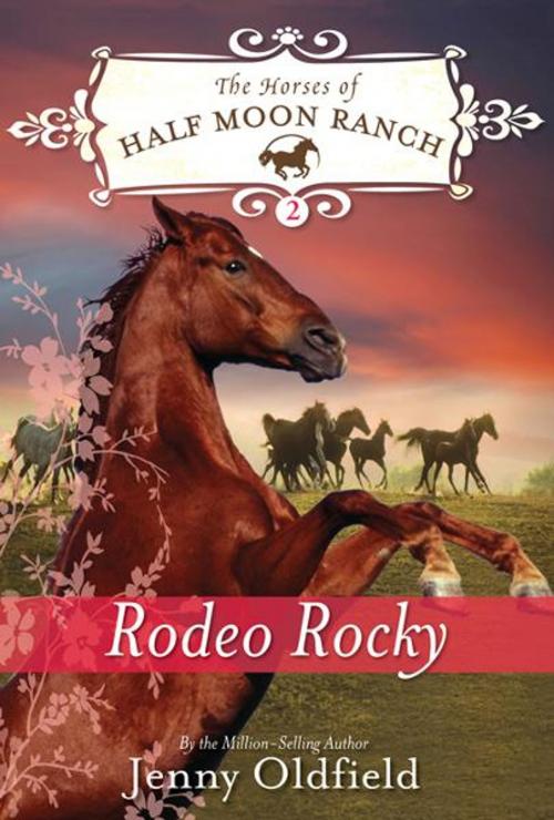 Cover of the book Rodeo Rocky by Jenny Oldfield, Sourcebooks