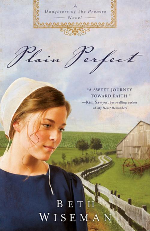 Cover of the book Plain Perfect by Beth Wiseman, Thomas Nelson