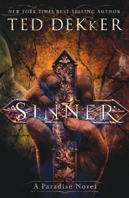 Cover of the book Sinner by Ted Dekker, Thomas Nelson