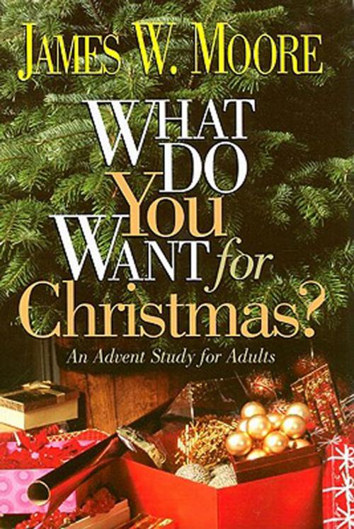 Cover of the book What Do You Want for Christmas? by James W. Moore, Abingdon Press