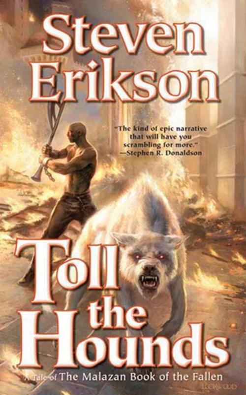 Cover of the book Toll the Hounds by Steven Erikson, Tom Doherty Associates