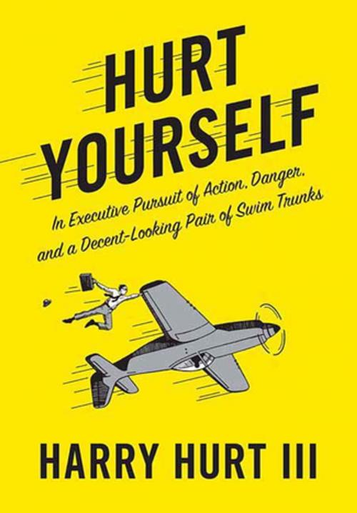 Cover of the book Hurt Yourself by Harry Hurt III, St. Martin's Press
