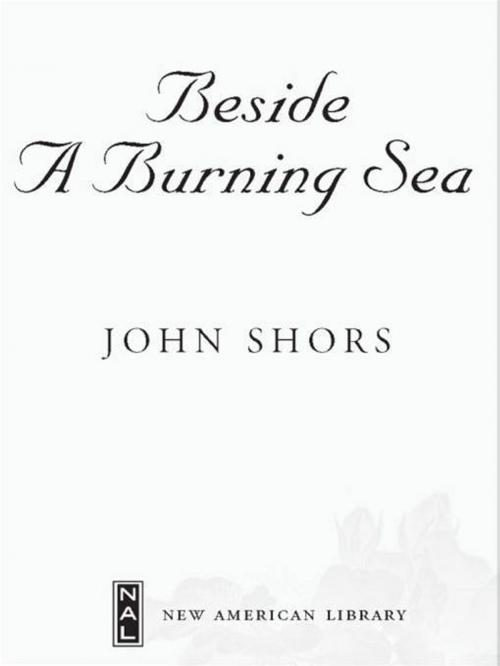 Cover of the book Beside a Burning Sea by John Shors, Penguin Publishing Group