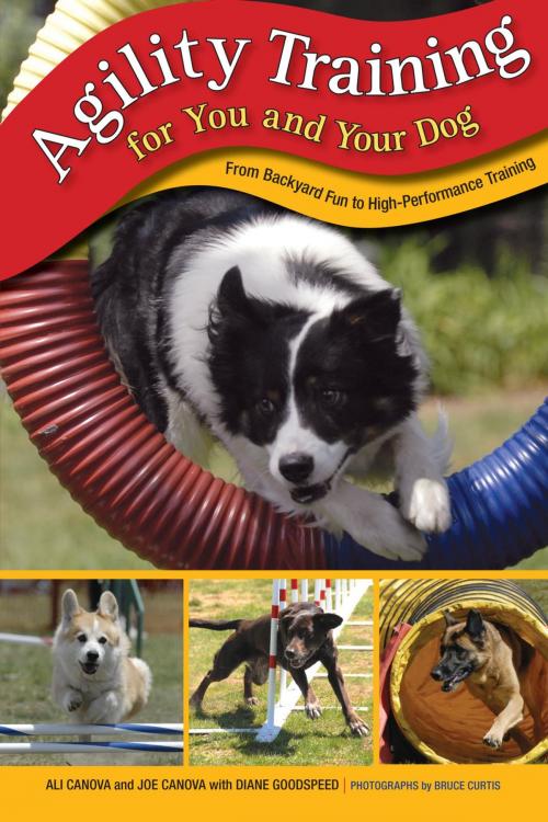 Cover of the book Agility Training for You and Your Dog by Ali Canova, Joe Canova, Diane Goodspeed, Lyons Press