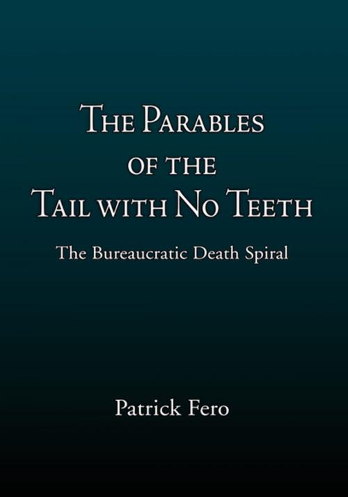 Cover of the book The Parables of the Tail with No Teeth by Patrick Fero, Xlibris US