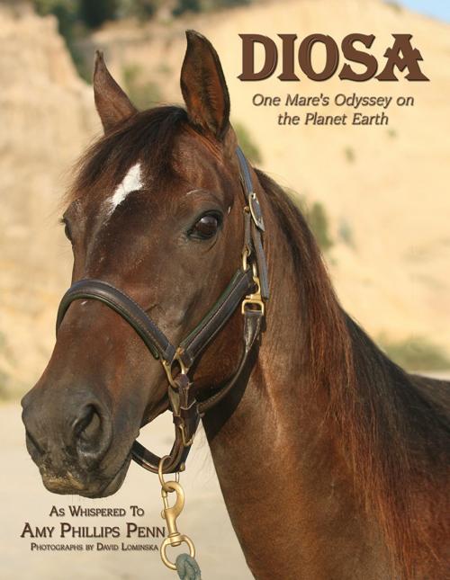 Cover of the book Diosa by Amy Phillips Penn, AuthorHouse