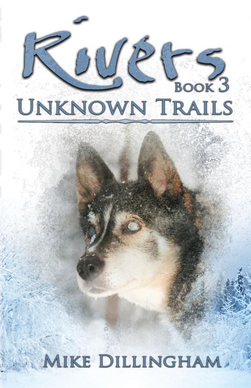 Cover of the book Rivers: Unknown Trails by Mike Dillingham, Publication Consultants