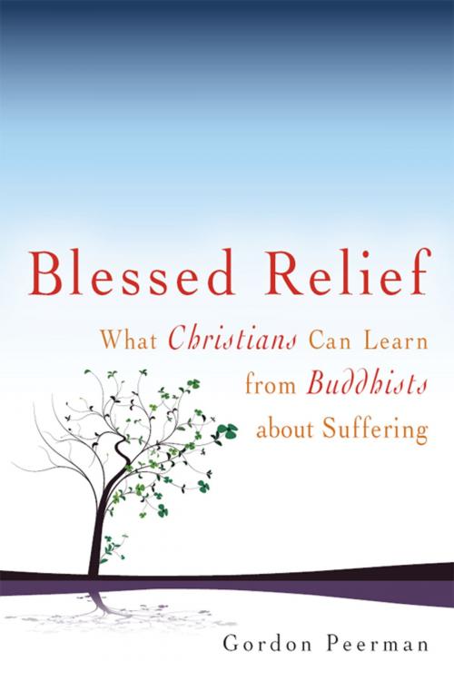 Cover of the book Blessed Relief: What Christians Can Learn from Buddhists about Suffering by Gordon Peerman, SkyLight Paths Publishing