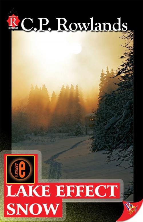 Cover of the book Lake Effect Snow by C.P. Rowlands, Bold Strokes Books, Inc.