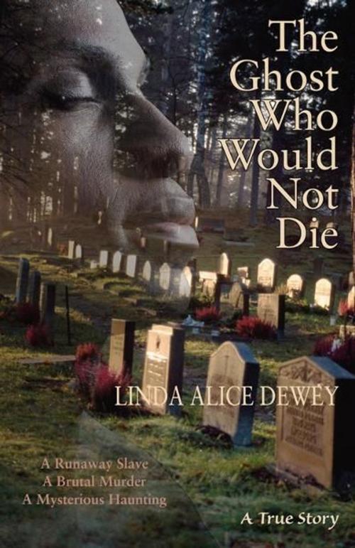 Cover of the book The Ghost Who Would Not Die: A Runaway Slave, A Brutal Murder, A Mysterious Haunting by Linda Alice Dewey, Hampton Roads Publishing