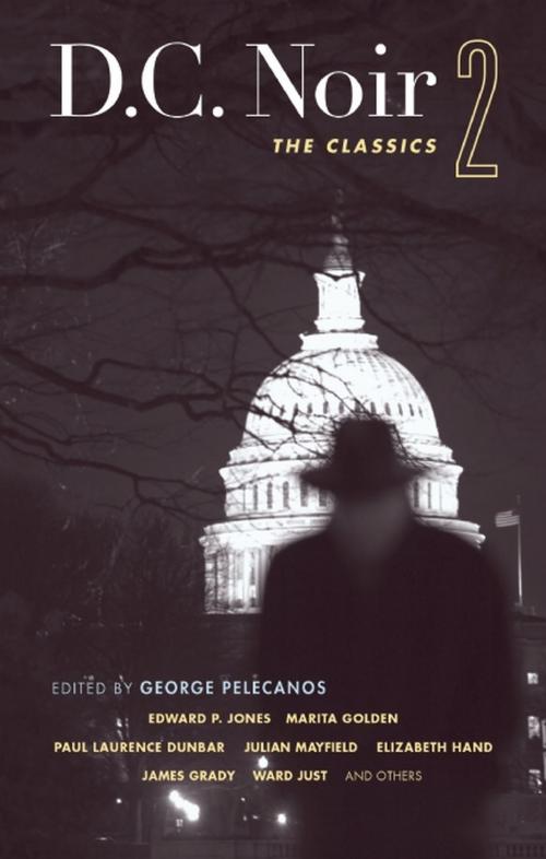 Cover of the book D.C. Noir 2 by , Akashic Books
