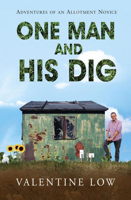 Cover of the book One Man and His Dig by Valentine Low, Simon & Schuster UK