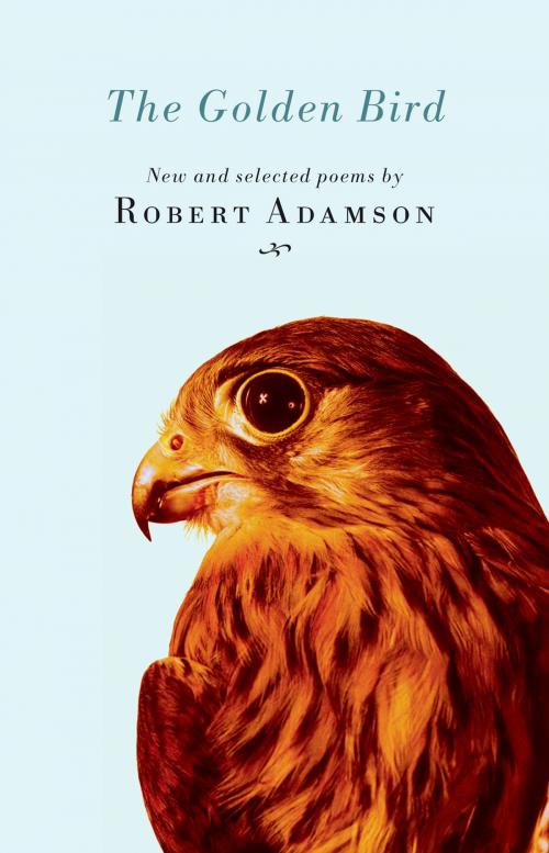 Cover of the book The Golden Bird by Robert Adamson, Schwartz Publishing Pty. Ltd
