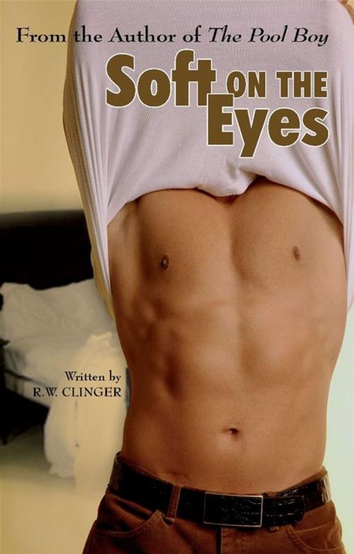 Cover of the book soft on the eyes by Robert Clinger, STARbooks Press