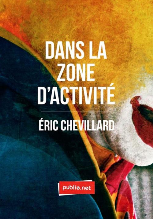 Cover of the book Dans la zone d'activité by Eric Chevillard, publie.net