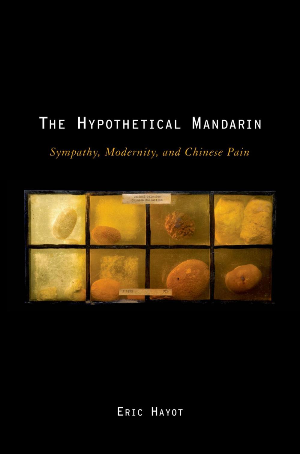 Big bigCover of The Hypothetical Mandarin