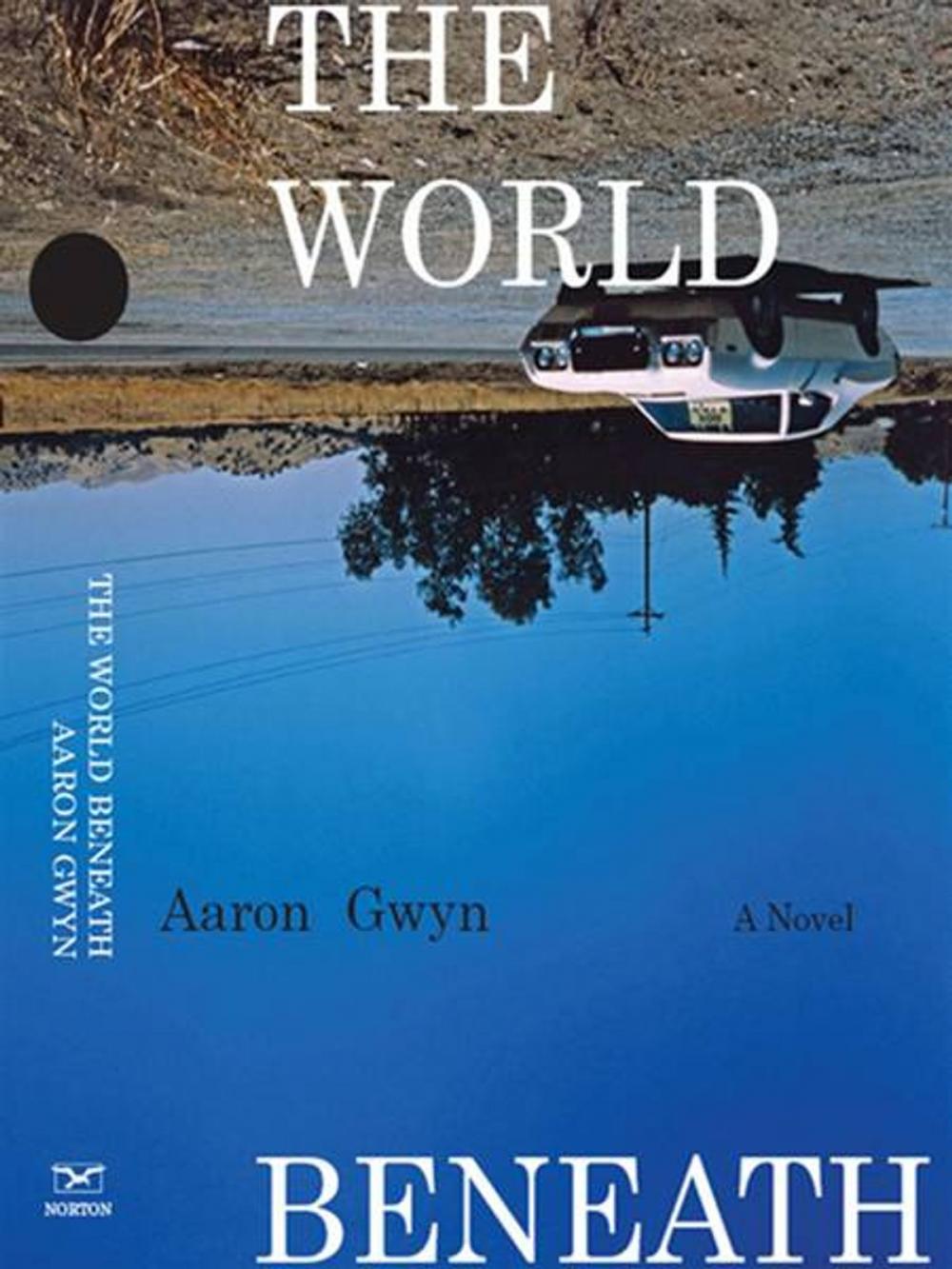 Big bigCover of The World Beneath: A Novel