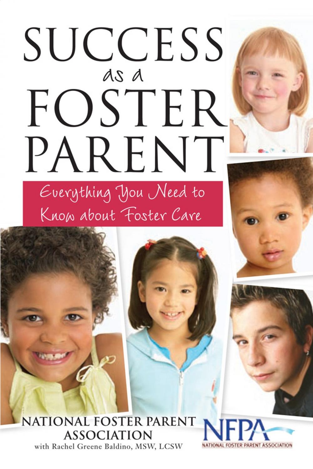 Big bigCover of Success as a Foster Parent