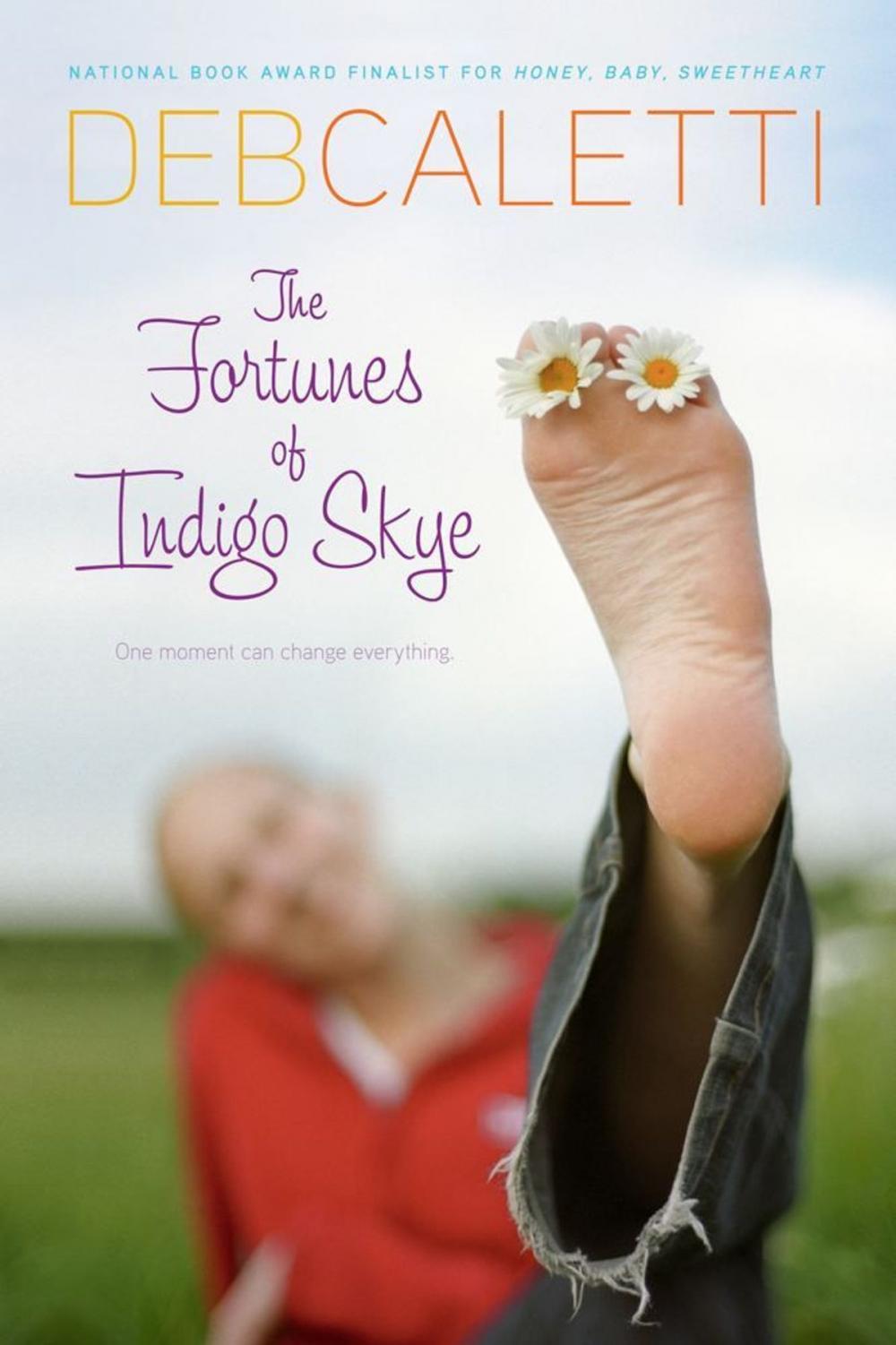 Big bigCover of The Fortunes of Indigo Skye