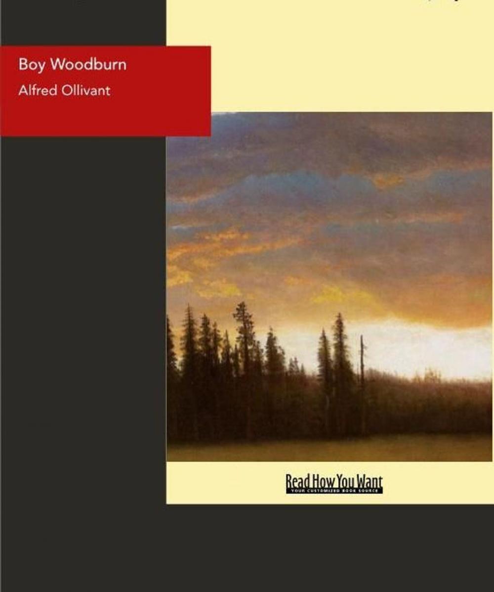 Big bigCover of Boy Woodburn : A Story Of The Sussex Downs
