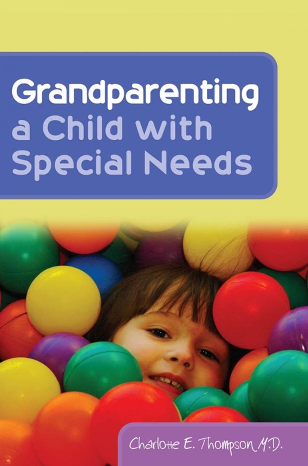 Big bigCover of Grandparenting a Child with Special Needs