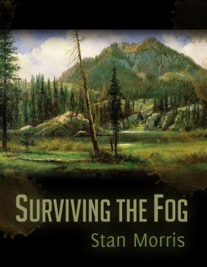 Cover of the book Surviving the Fog by J.D. Hallowell